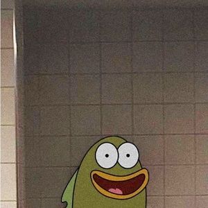 Meet your Posher, Conner